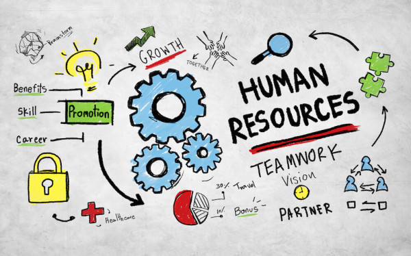 الابداع والجودة فى التدريب الاستراتيجي والتطوير الوظيفي لتحقيق الاهداف التنظيمية